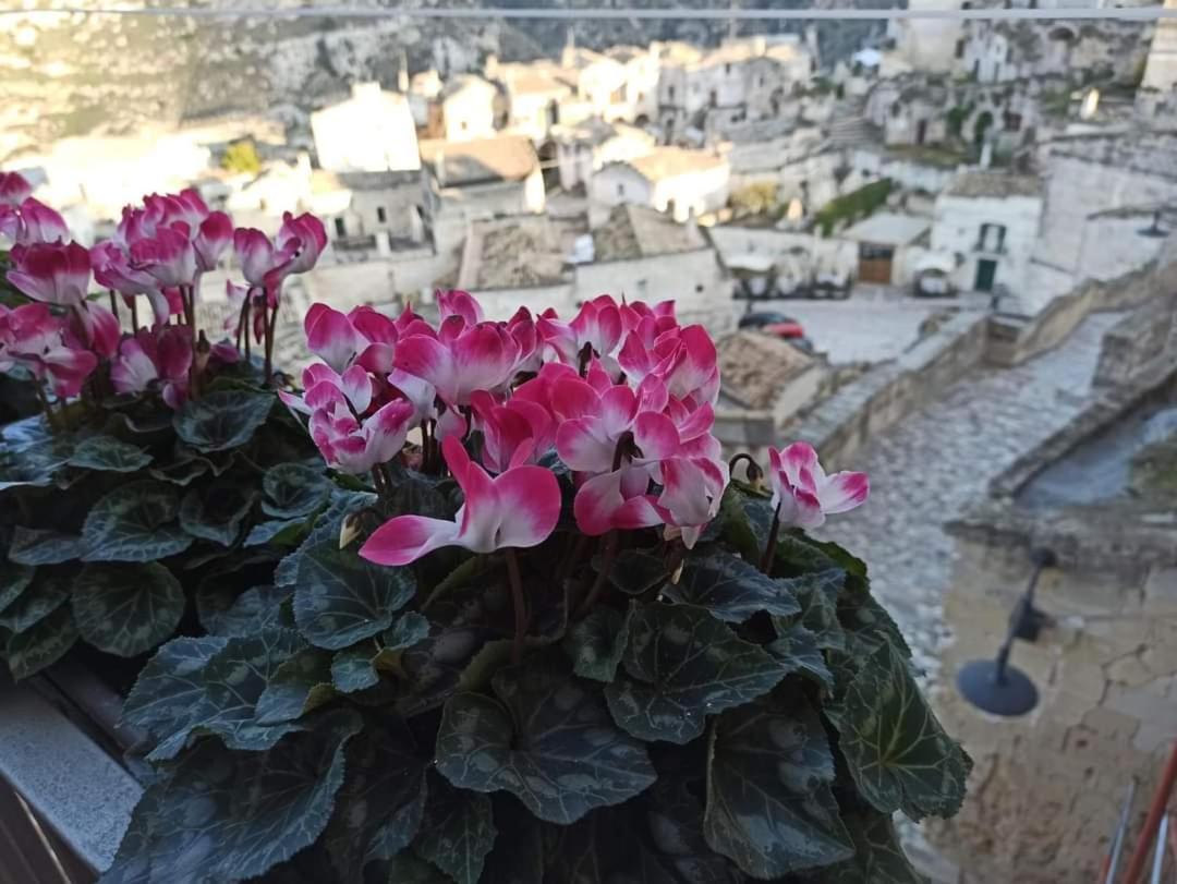 Slow Living B&B Matera Bagian luar foto